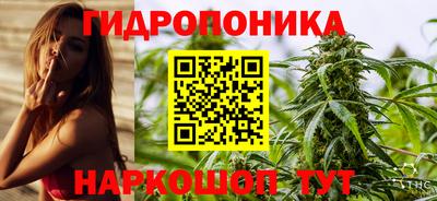 сатива Кунгур
