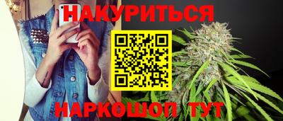 сатива Кунгур