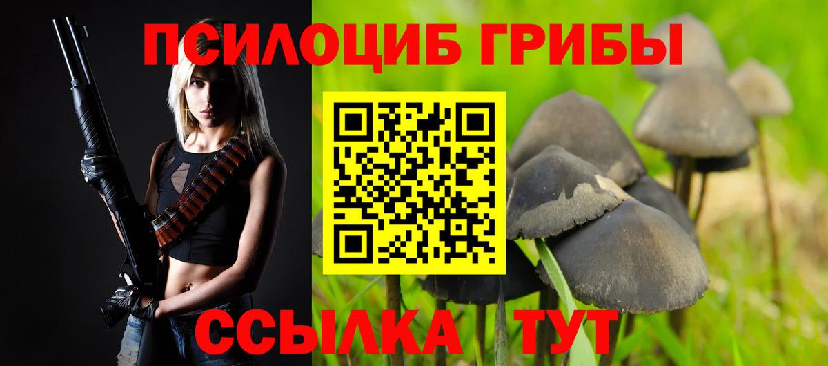 купить закладку  Галлюциногенные грибы MAGIC MUSHROOMS  Качканар  Вход с VPN  Псилоцибиновые грибы MAGIC MUSHROOMS 